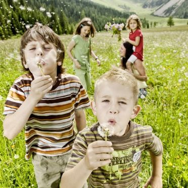 Kinder mit Pusteblumen